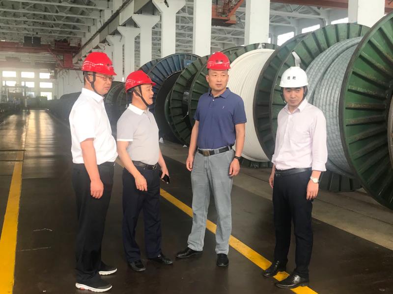 Leaders from Wuxi State owned Assets Supervision and Administration Commission visited remote cable research to guide party building work