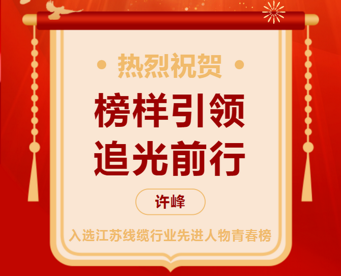 Leading by example, chasing the light forward | Xu Feng selected as an advanced figure in the Jiangsu cable industry youth list