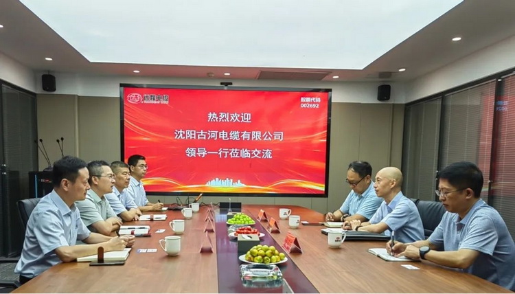 Shenyang Guhe cable visited remote Stock Exchange